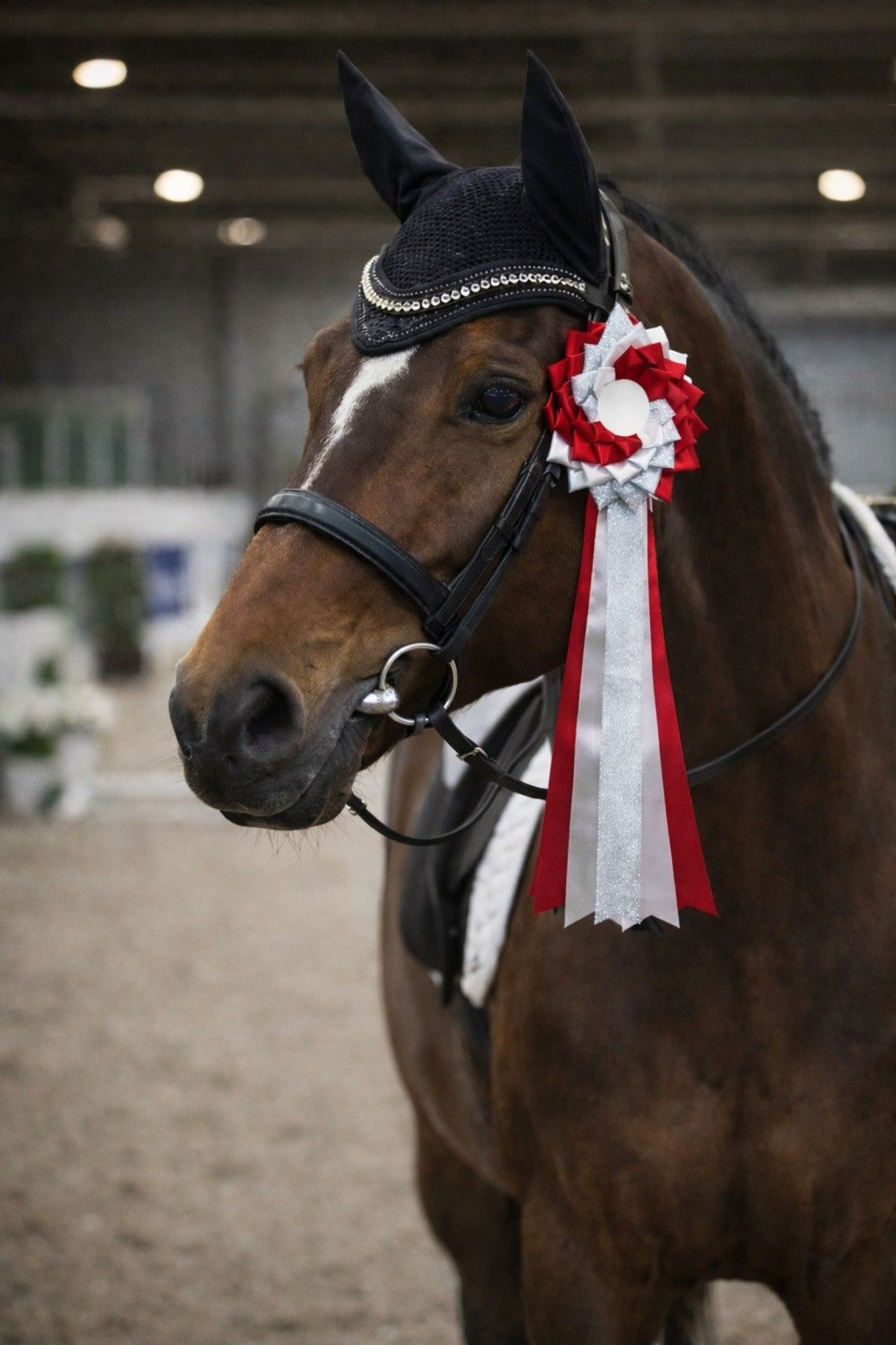 Kontakt: Kontaktformular